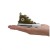 Chaveiro Converse Chuck Taylor All Star Verde Escuro