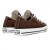 Tênis Converse Chuck Taylor All Star Seasonal Colors Feminino Marrom Escuro