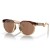 Óculos de Sol Oakley HSTN Tungstênio Unissex Marrom / Marrom