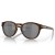 Óculos de Sol Oakley Latch Unissex Marrom / Preto