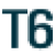 T06