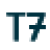 T07