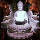 Fonte Buda Iluminação 1,33 Altura - Decoração em áreas externas e internas - Elemento água em cascata