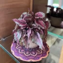 Mandalinha Floral Roxa - Várias formas de usar e decorar!
