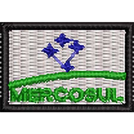 Patch Bordado Micro Bandeira Mercosul 2x3 cm Cód.MIBP154